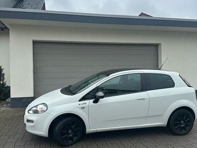 gebraucht Fiat Punto 1.4 8V Start&Stopp YOUNG YOUNG