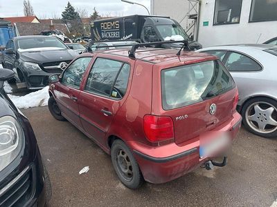 Rot Gebraucht 2001 VW Polo Kleinwagen | 1.200 € (Teuer)