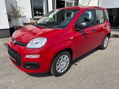 Gebraucht Fiat Panda 71 PS (52 kW) 2025 Rot Kleinwagen