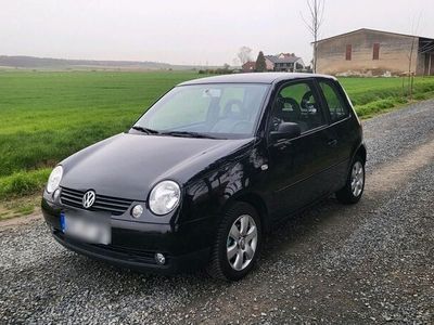 gebraucht VW Lupo 1.0 50 Ps Klima TÜV NEU