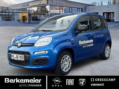 Gebraucht Fiat Panda Icon 69 PS (50 kW) 2025 Italia blau Kleinwagen