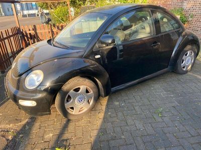 VW Beetle