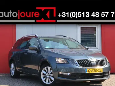 Gebraucht Skoda Octavia Clever 116 PS (85 kW) 2020 Grau Kombi