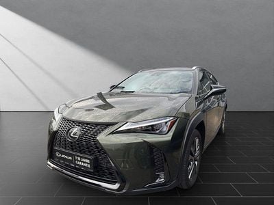Gebraucht Lexus UX 250h Sport Line 184 PS (135 kW) 2023 Terrane khaki SUV