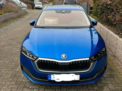 Usata Skoda Octavia