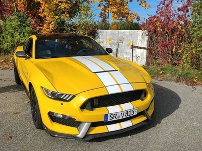 gebraucht Ford Shelby 