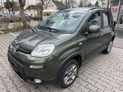 Gebraucht Fiat Panda 4x4 Rock 75 PS (55 kW) 2014 Grün Kleinwagen