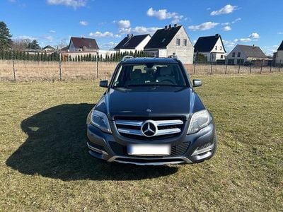 Andere farben Gebraucht 2011 Mercedes GLK220 SUV | 8.500 € (Etwas zu teuer)