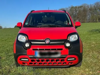 Usata Fiat Panda Red 69 CV (50 kW) 2022 Rosso Utilitaria