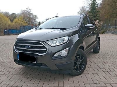 Begagnad Ford Ecosport Cool & Connect 125 HK (91 kW) 2019 Grå SUV
