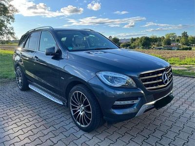 Mercedes ML250