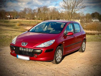 Usata Peugeot 307 Filou 110 CV (80 kW) 2005 Rosso Utilitaria