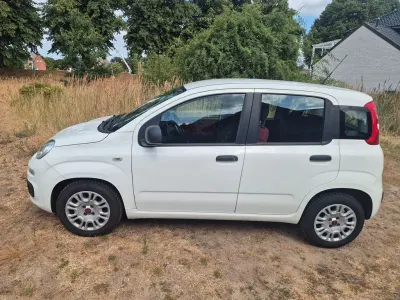 Gebraucht Fiat Panda Easy 69 PS (50 kW) 2016 Weiß Kleinwagen