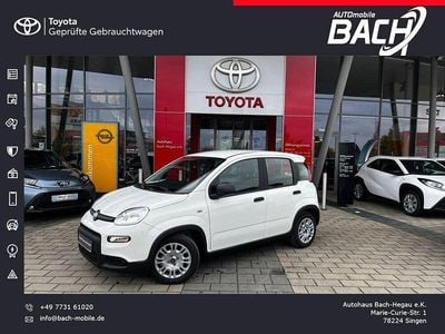Gebraucht Fiat Panda 69 PS (50 kW) 2024 Weiß Kleinwagen
