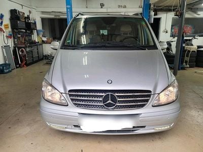 Mercedes Viano
