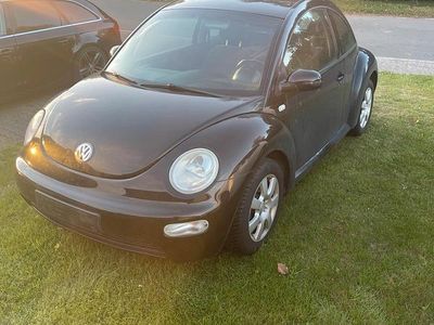 VW Beetle