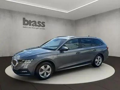 Usata Skoda Octavia Ambition 150 CV (110 kW) 2023 Grigio Station wagon