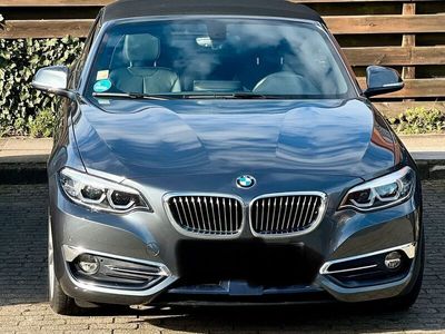 gebraucht BMW 220 i Cabrio/Luxury Line/Leder/LED/Bj.2019/super Ausstattung