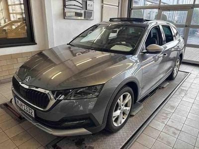 Gebraucht Skoda Octavia Scout Scout 4x4 150 PS (110 kW) 2023 Grau Kombi
