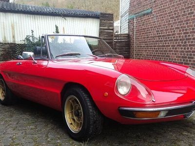 gebraucht Alfa Romeo 2000 SpiderFastback Veloce