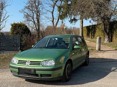 Gebraucht VW Golf IV 102 PS (75 kW) 1998 Grün Kleinwagen