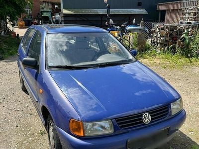 VW Polo