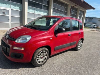 gebraucht Fiat Panda New1.2 8V *EURO 5* FESTPREIS