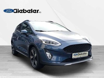 gebraucht Ford Fiesta Active *Kamera*PDC*Navi*Totwinkelassistent*LED*