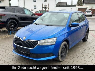 gebraucht Skoda Fabia 1.0 MPI Ambition *RKAM/TEMPOMAT/ALU*