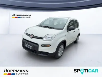 Gebraucht Fiat Panda Cross