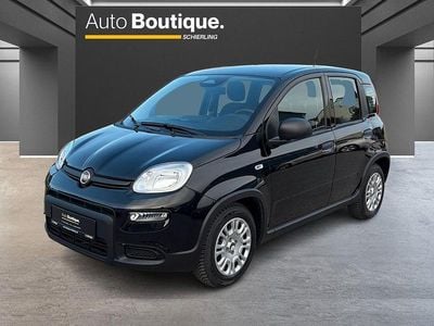 Gebraucht Fiat Panda Cross Cross 69 PS (50 kW) 2025 Schwarz Kleinwagen