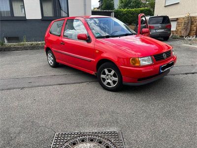 VW Polo