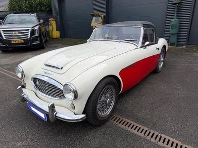 Gebraucht Austin Healey 100/6 117 PS (86 kW) 1957 Weiß Cabrio