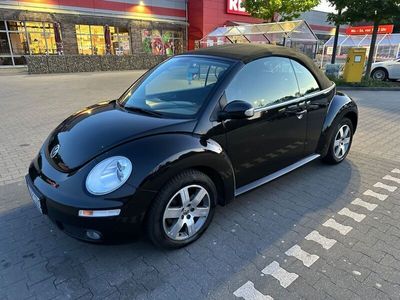 VW Beetle