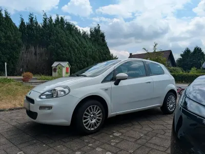 Gebraucht Fiat Punto Street 69 PS (50 kW) 2014 Weiß Kleinwagen