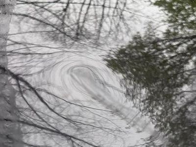 Gebraucht Skoda Roomster 110 PS (80 kW) 2008 Schwarz Van / Kleinbus