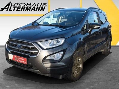 Gebraucht Ford Ecosport Titanium 125 PS (91 kW) 2019 Grau SUV