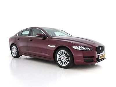 Gebraucht Jaguar XE Business Edition 165 PS (121 kW) 2017 Rot Limousine