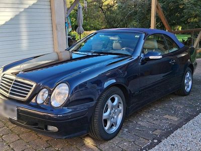 Blau Gebraucht 2001 Mercedes CLK230 Cabrio | 8.999 € (Teuer)