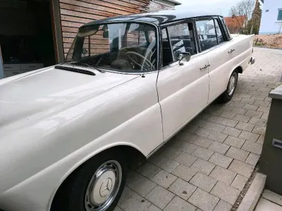 Brugt Mercedes 200 55 HK (40 kW) 1967 Hvid Sedan
