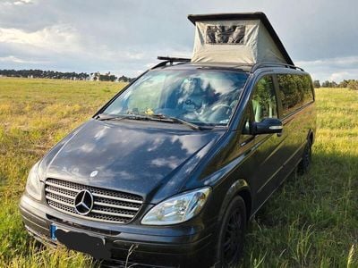 Mercedes Viano