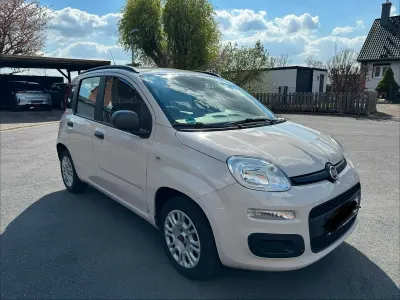 Brugt Fiat Panda Basis 69 HK (50 kW) 2013 Beige Hatchback