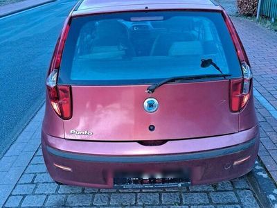 gebraucht Fiat Punto 