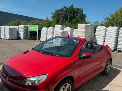 Gebraucht Peugeot 206 CC 136 PS (100 kW) 2004 Rot Cabrio