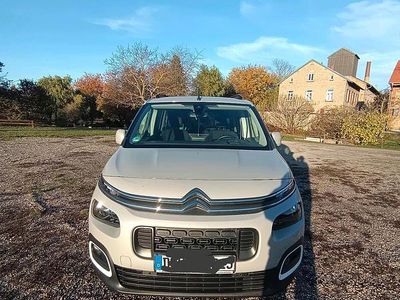 Beige Gebraucht 2020 Citroën Berlingo Shine Van / Kleinbus | 19.500 € (Fairer Preis)