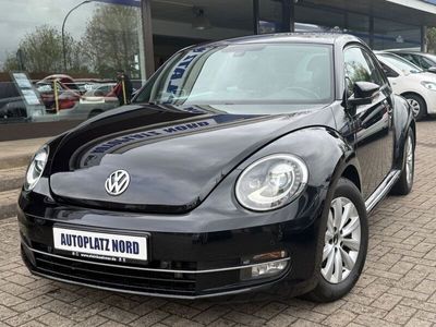 VW Beetle