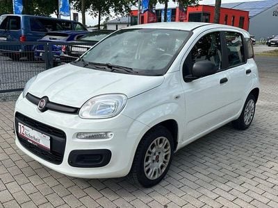 Gebraucht Fiat Panda Easy 69 PS (50 kW) 2020 Kleinwagen