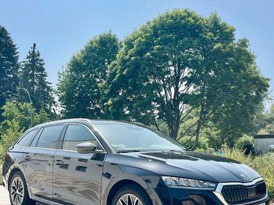 Gebraucht Skoda Octavia 150 PS (110 kW) 2020 Schwarz Kombi