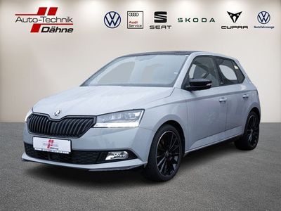 gebraucht Skoda Fabia Monte Carlo