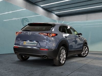 Gebraucht Mazda CX-30 Selection 122 PS (89 kW) 2019 Grau SUV